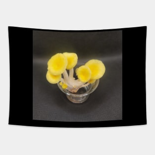 Yellow Oyster Mushroom in glass Tapestry