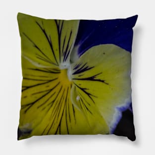 Pansy Pillow