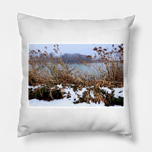 Torbiere d'Iseo Pillow