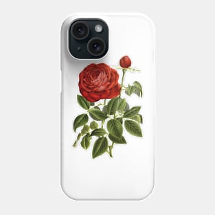 Red Rose Flower Vintage Botanical Illustration Phone Case