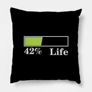 42% Life Pillow