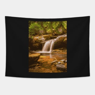 Golden Water Fall - Landscape Tapestry