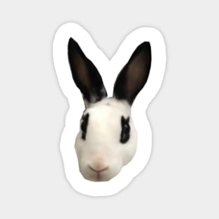 Bunny Rabbit Face Magnet