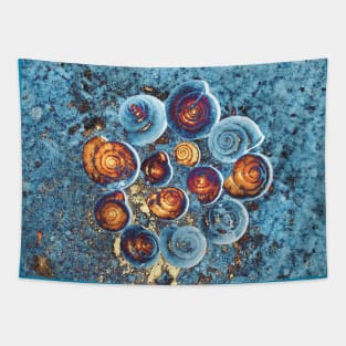 Snail Shells- Turquoise Tapestry