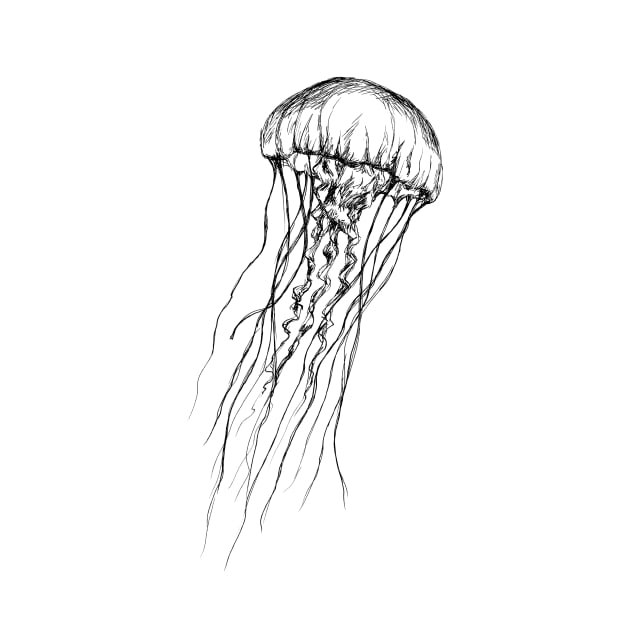 Jellyfish print by rachelsfinelines