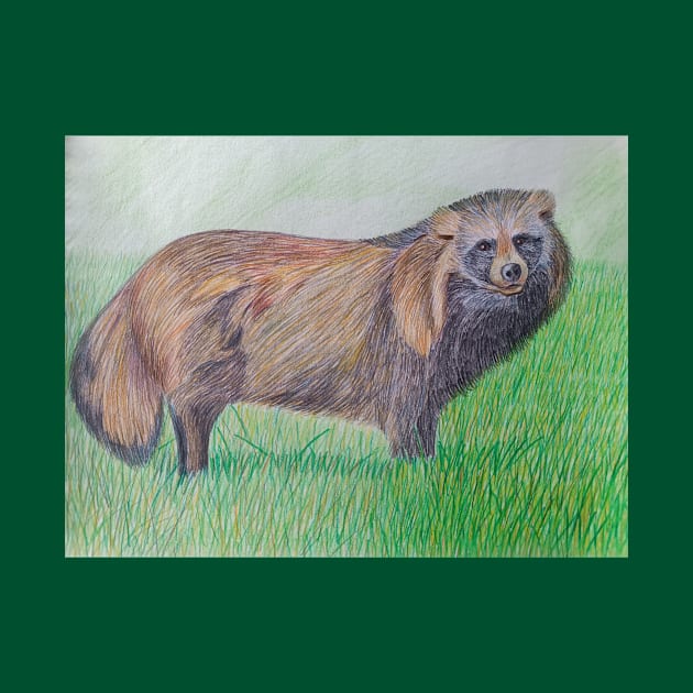 Raccoon dog by An.D.L.