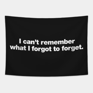 I can't remember what I forgot to forget Tapestry