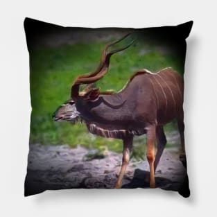 Greater kudu Pillow