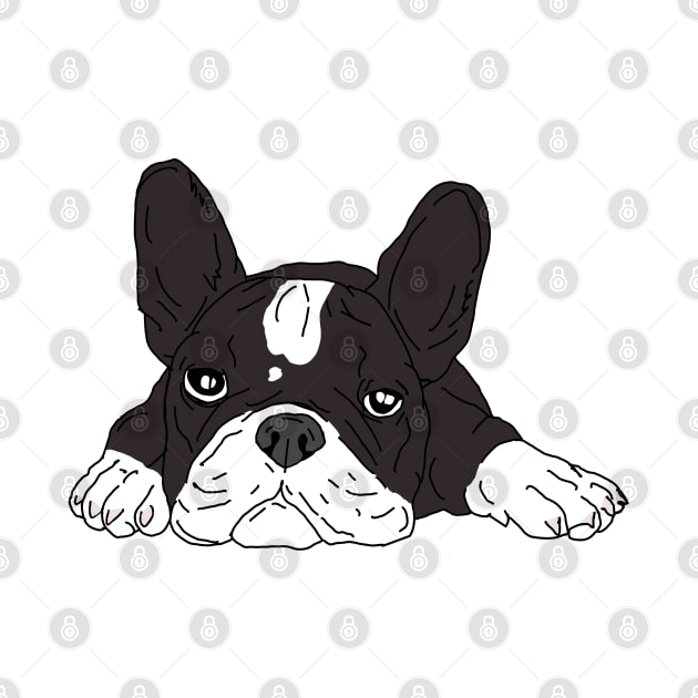 White and black french bulldog by Noamdelf06