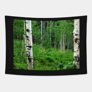 Aspen and Flowers Tapestry
