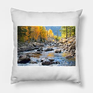 Ten Mile Creek Pillow