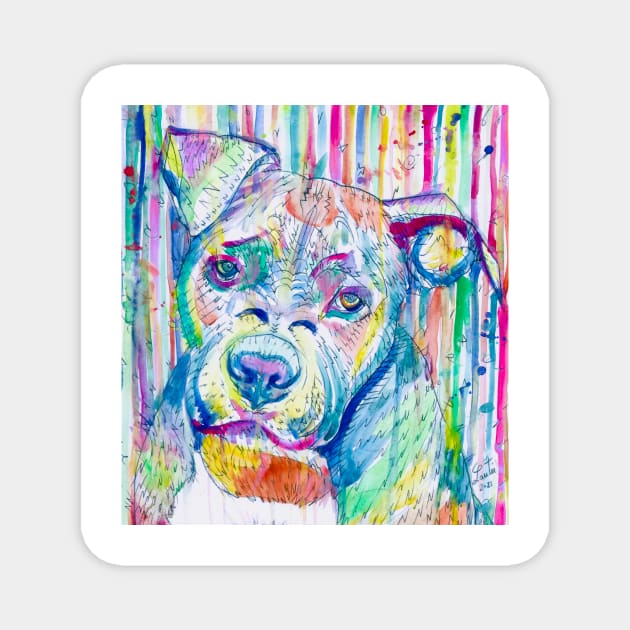 PIT BULL Watercolor portrait .7 Magnet by lautir