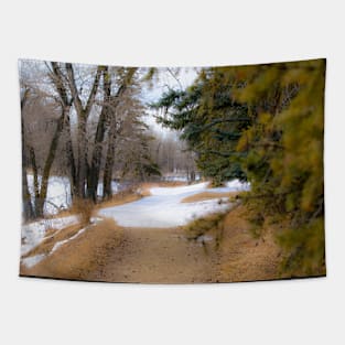 Urban trail Tapestry