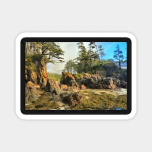 Cape Scott Rugged Beach Magnet