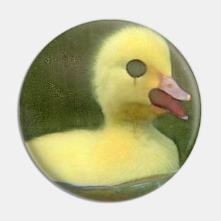 Nightmare Duck Pin