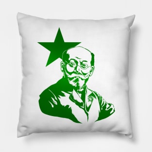 Doktoro Esperanto Pillow