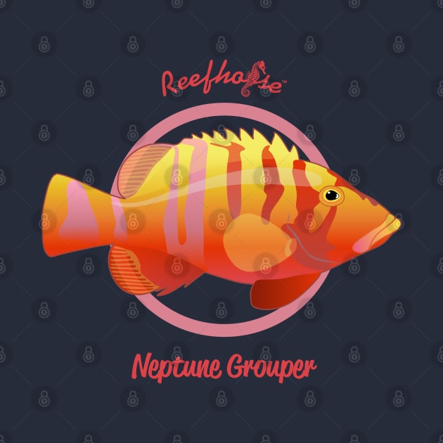 Neptune Grouper by Reefhorse