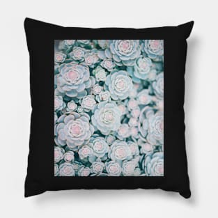 Succulent, Leaves, Modern art, Wall art, Print, Minimalistic, Modern Pillow