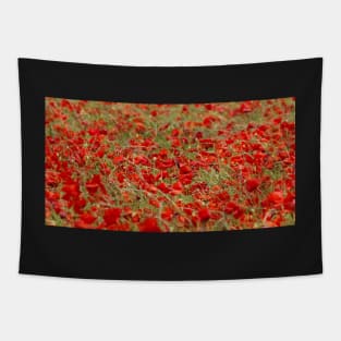 Field of poppys  near baslow in derbyshire  . Tapestry