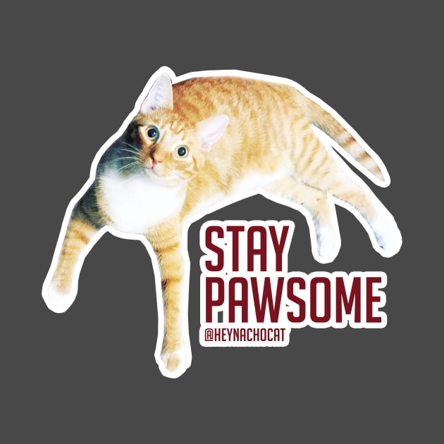 Stay Pawsome by VeryBear