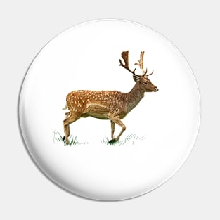 Rehe Pin