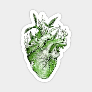 Green Heart Magnet