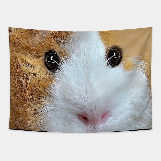 Guinea Pig Face Tapestry by Random Galaxy