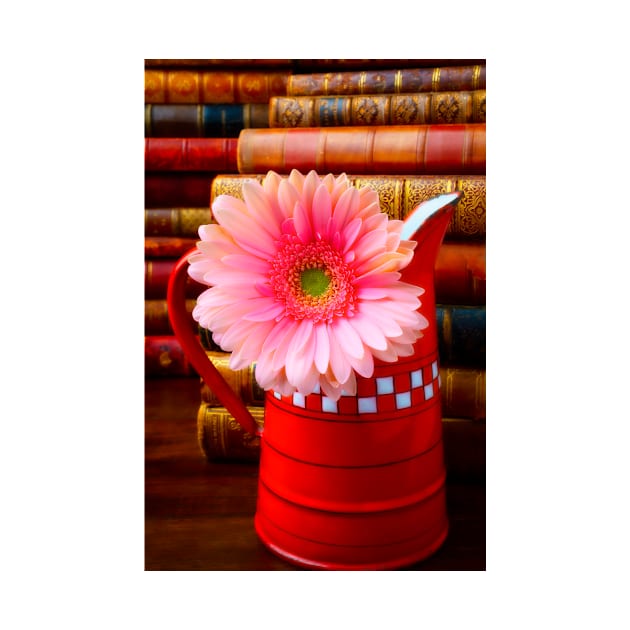 Pink Daisy In Red French Pitcher by photogarry