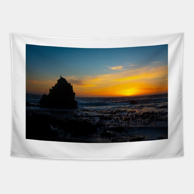 Sun Setting Into The Pacific Ocean Tapestry by photogarry