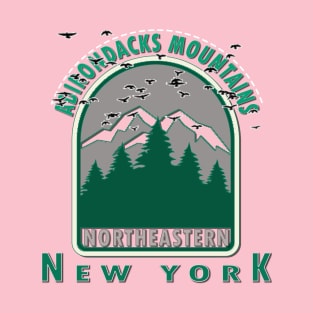 Adirondacks T-Shirt