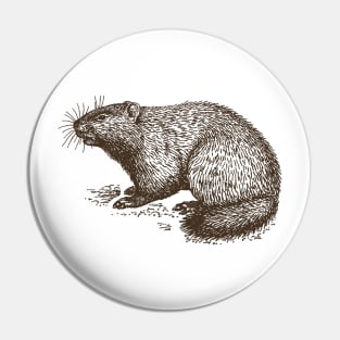 Vintage Groundhog Pin