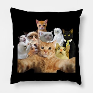 Cat Selfie Cat Pillow