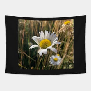 Daisy of Integrity and Truth Tapestry