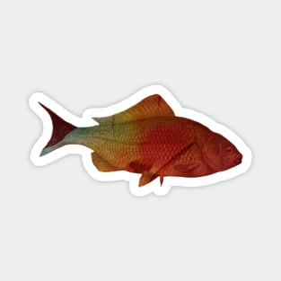 Fish in red and orange Magnet