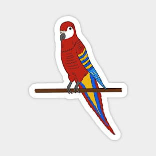 Parrot Magnet