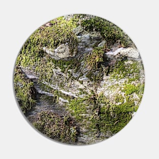 Green Stone Moss Nature Forest Pin