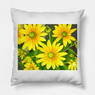 Yellow Summer Cone Flowers in the Garden Pillow