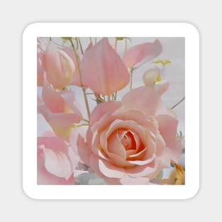 Pale Pink Roses Magnet
