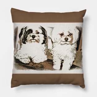 H and D Pillow