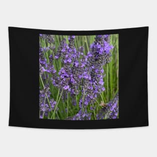 Rest Your Weary Head in a Fragrant Lavender Field Tapestry