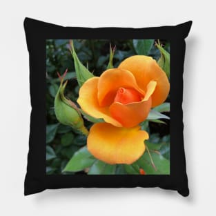 Orange Rose Flower Pillow