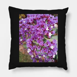 Purple Blooms Pillow