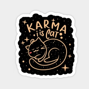 Karma Is A Cat Magnet