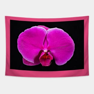 Purple Orchid Tapestry