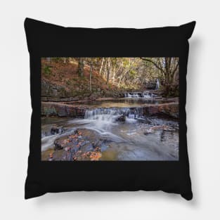 Summerhill Force Pillow