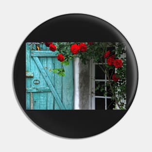 The Portes-en-Ré - Roses on the shutter. Pin