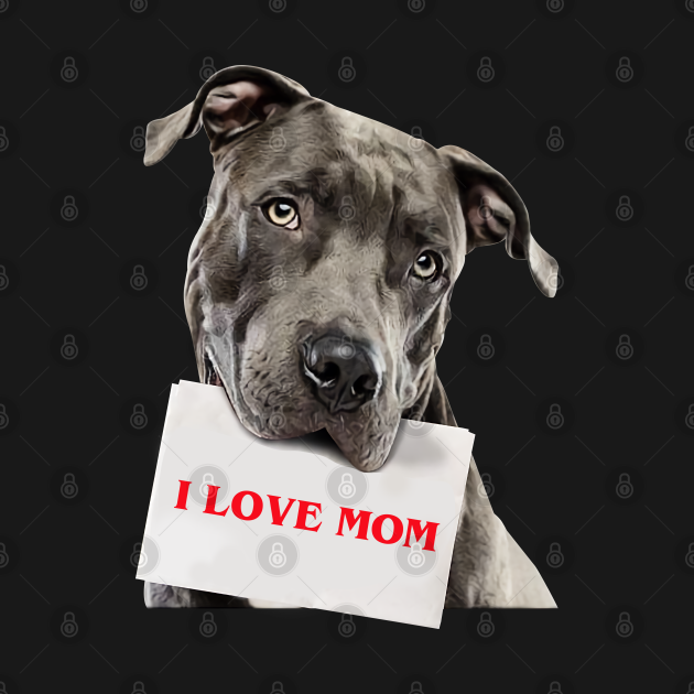 Disover Pitbull - I love mom - Pitbull - T-Shirt