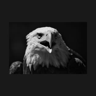 Bald Eagle Portrait 1 T-Shirt