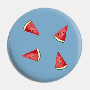 Watermelon Slices Pattern Pin