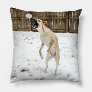 Anatolian shepherd catching a snowball Pillow